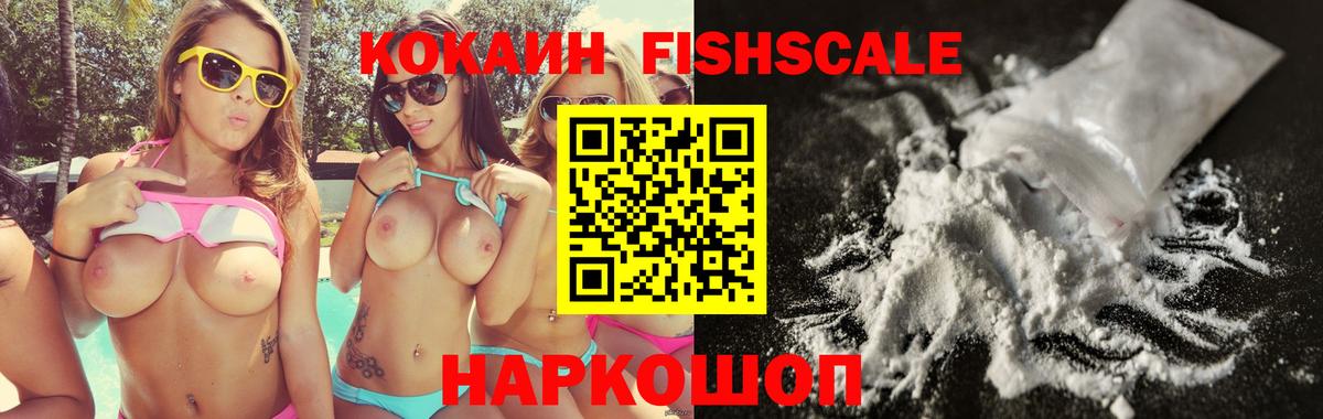 Cocaine  Вход с VPN  Новозыбков  КОКАИН FishScale 