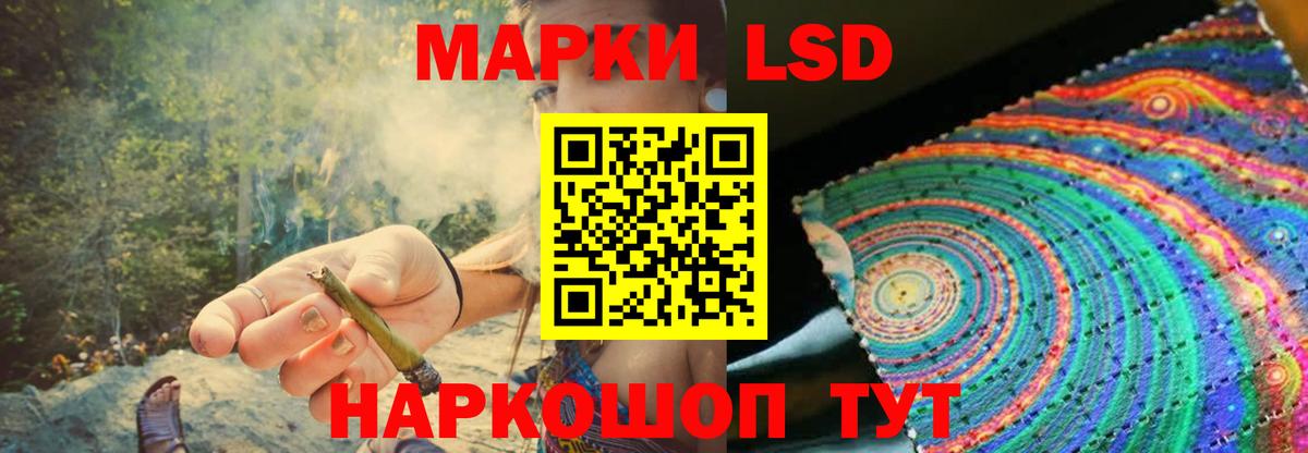ЛСД экстази ecstasy  ЛСД экстази ecstasy  Вход с VPN  Новозыбков 