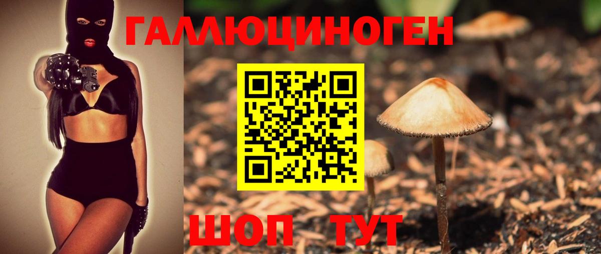 Галлюциногенные грибы Cubensis  Вход с VPN  Новозыбков  Псилоцибиновые грибы мицелий 