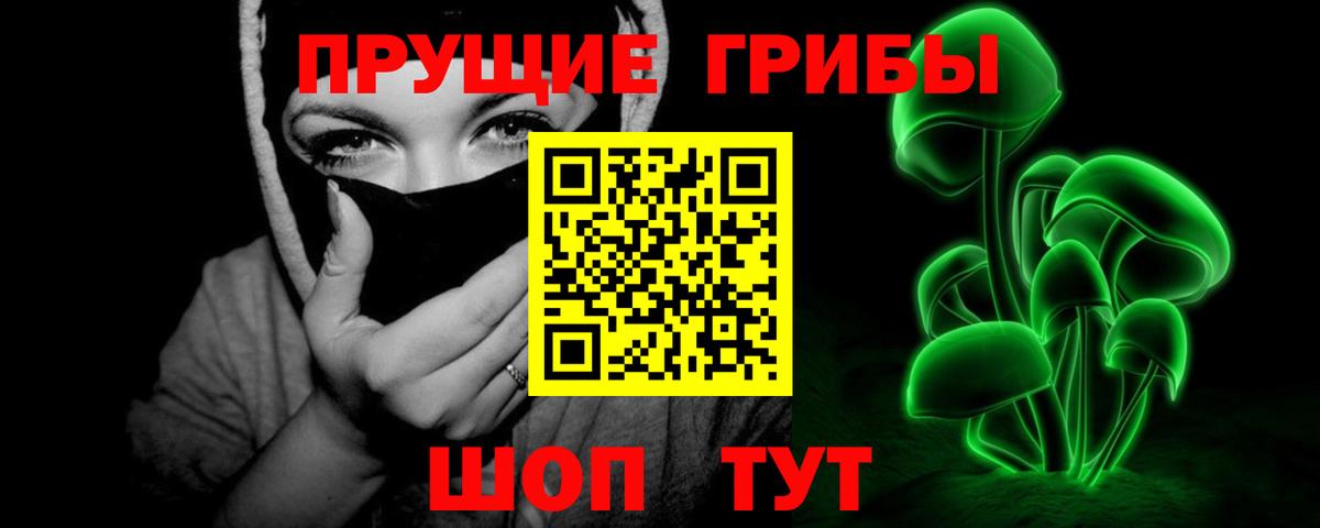 Галлюциногенные грибы Magic Shrooms Новозыбков